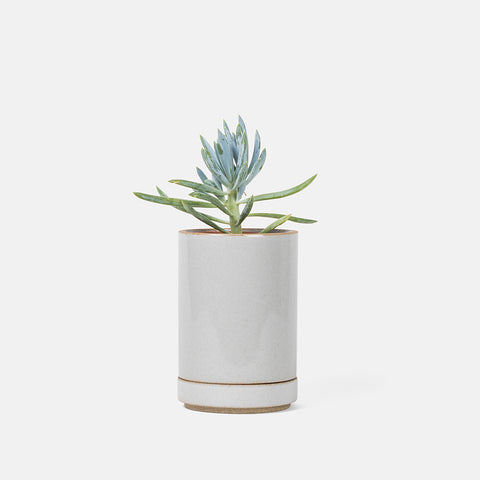 Mini Grey Planter