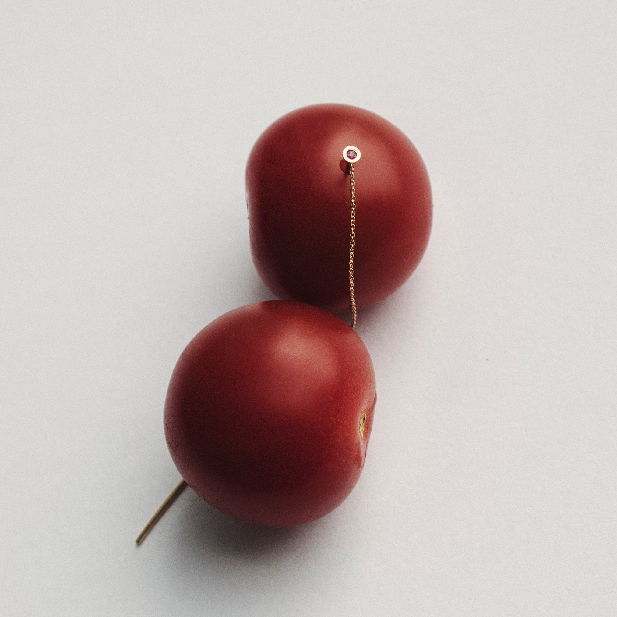 Vesa Earring with Ruby